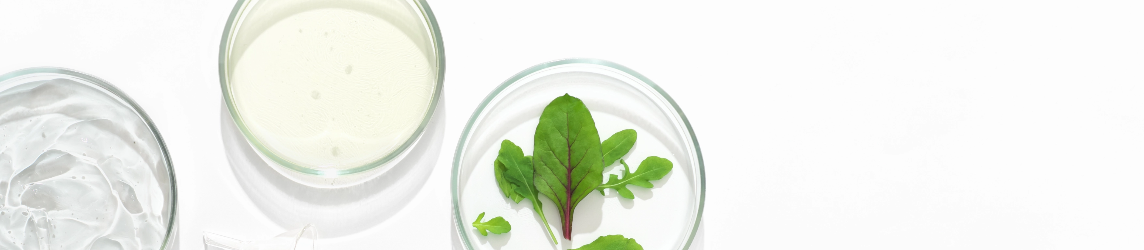 shutterstock_2132579829@2x