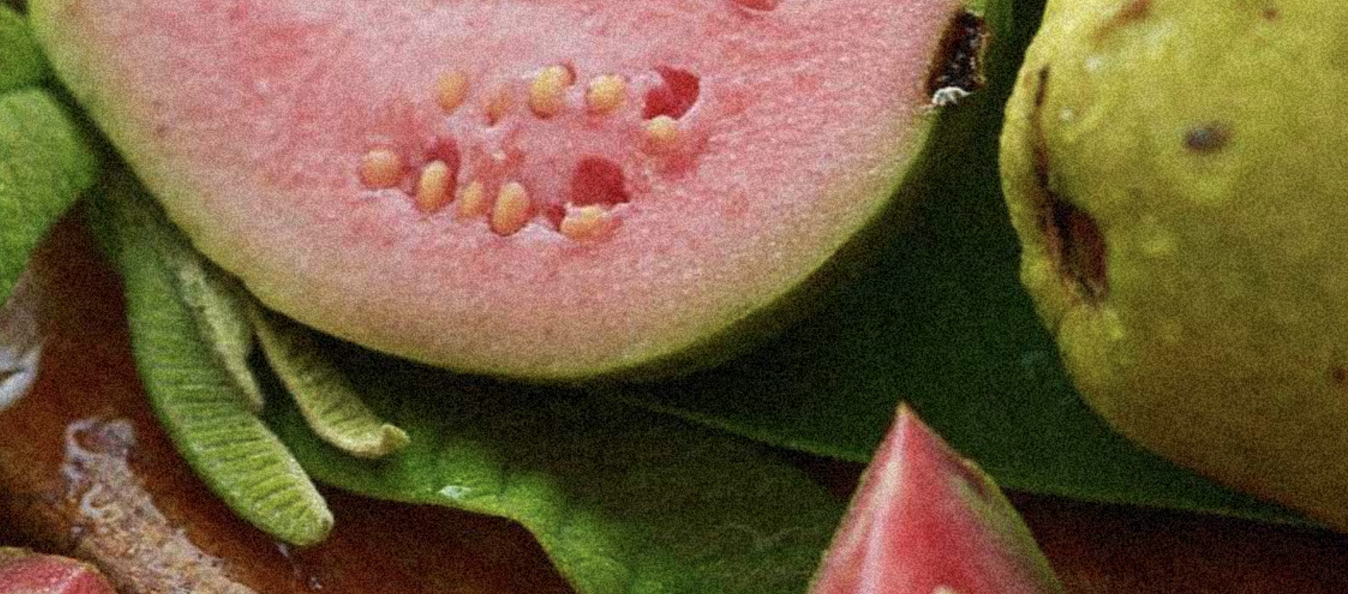 마스크 그룹 9@2x