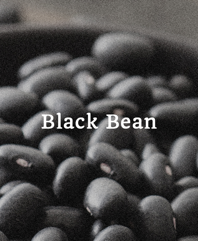 blackbean@2x