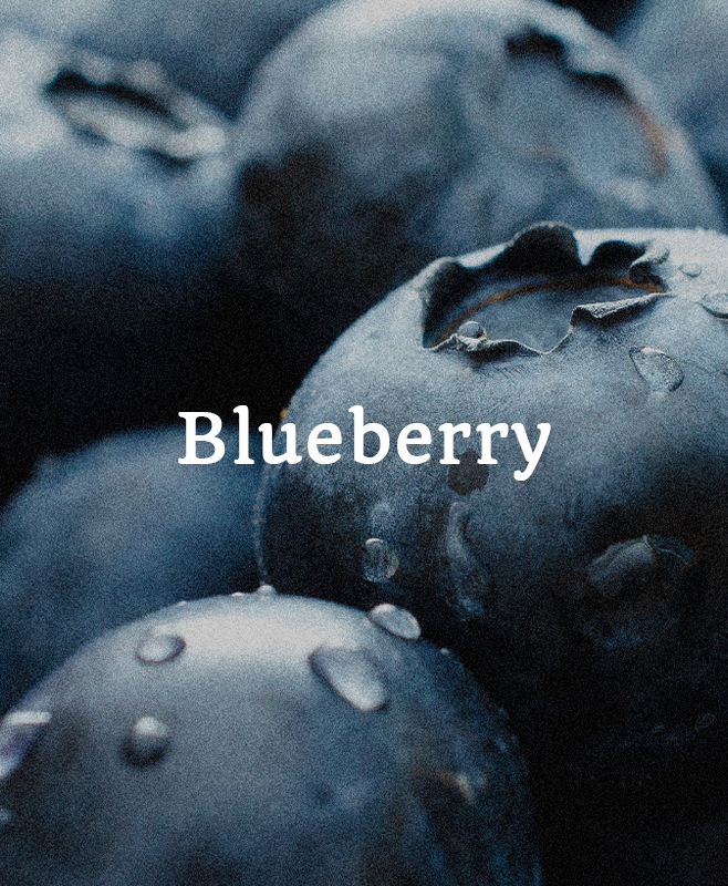 blueberry@2x