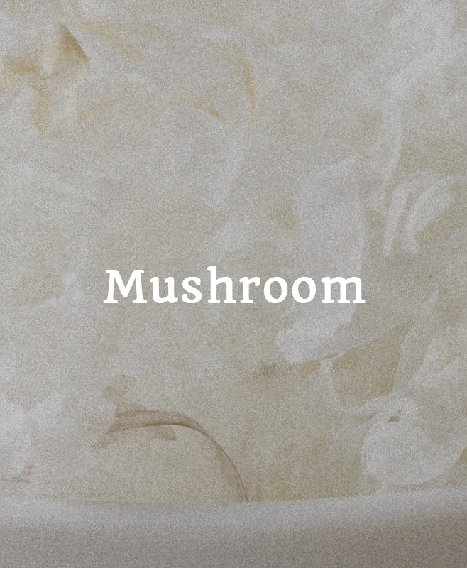 mushroom@2x