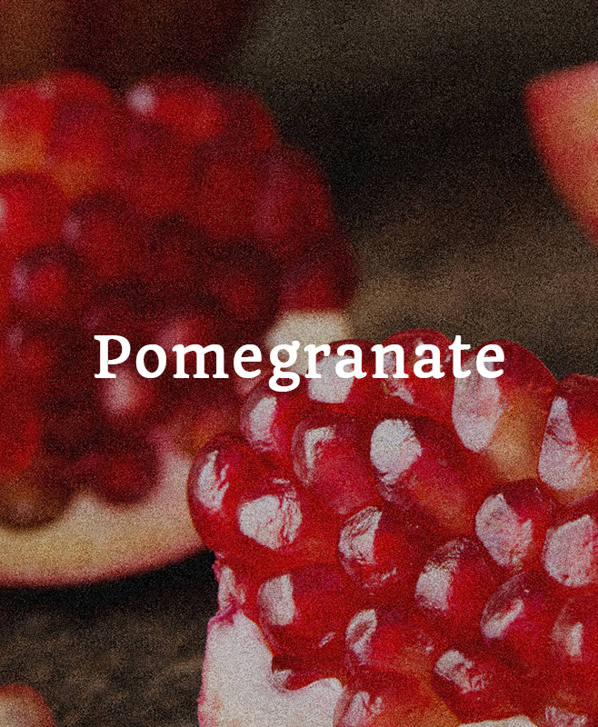 pomegranate@2x
