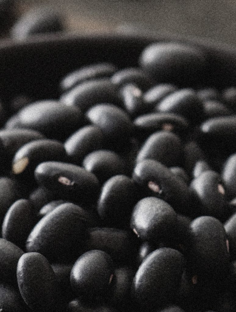 hp-byfood-black-bean